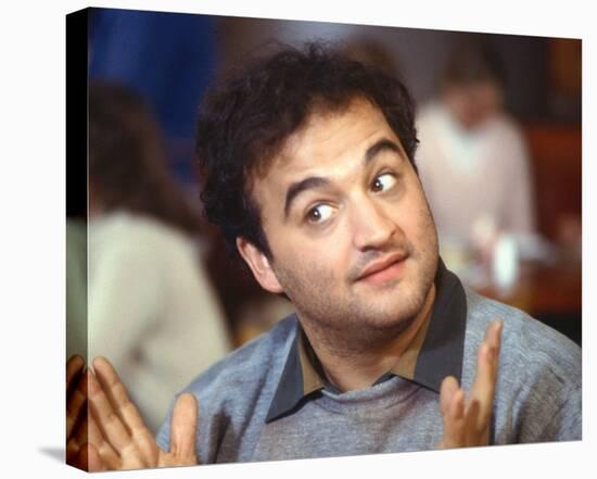 John Belushi-null-Stretched Canvas