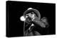 John Lee Hooker, Royal Festival Hall, London, 1988-Brian O'Connor-Premier Image Canvas