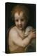 John the Baptist as Child-Andrea del Sarto-Premier Image Canvas