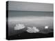 Jokulsarlon, Iceland, Polar Regions-Bill Ward-Premier Image Canvas