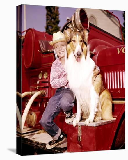 Jon Provost, Lassie (1954)-null-Stretched Canvas