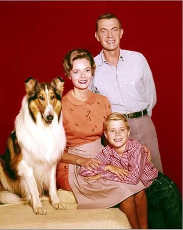 A 'Lassie' Christmas with Jon Provost, Entertainment