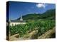 Jonjieux (Jonzieux), Savoie Vineyards, Rhone Alpes, France-Michael Busselle-Premier Image Canvas