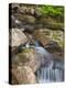 Jordan Stream in Acadia National Park, Maine, Usa-Chuck Haney-Premier Image Canvas