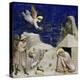 Joseph's Dream-Giotto di Bondone-Premier Image Canvas