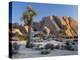 Joshua Tree and Boulder Formation, Joshua Tree NP, California, USA-Jaynes Gallery-Premier Image Canvas