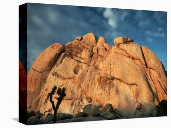 Joshua Tree and Cliffs-Kevin Schafer-Premier Image Canvas