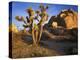 Joshua Tree and Granite, Joshua Tree National Park, California, USA-Charles Gurche-Premier Image Canvas