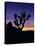 Joshua Tree and Moon, Joshua Tree National Park, California, USA-Jerry Ginsberg-Premier Image Canvas