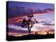 Joshua Tree at Sunset, California, USA-Gavriel Jecan-Premier Image Canvas