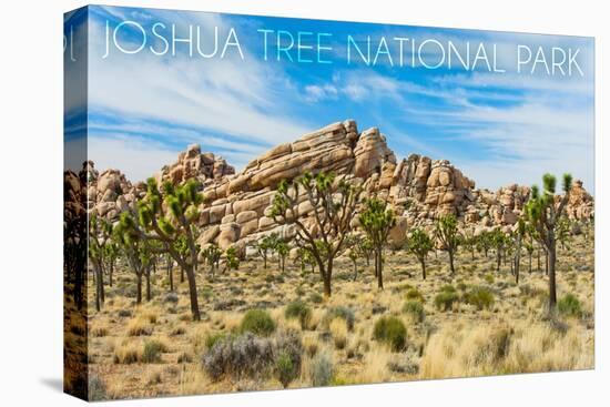Joshua Tree National Park, California - Blue Sky and Rocks-Lantern Press-Stretched Canvas