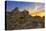 Joshua Tree National Park, California - Sunrise-Lantern Press-Stretched Canvas