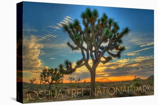 Joshua Tree National Park, California - Tree in Center-Lantern Press-Stretched Canvas