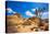 Joshua Tree National Park Jumbo Rocks in Yucca Valley Mohave Desert California USA-holbox-Premier Image Canvas