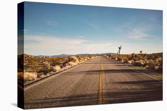 Joshua Tree Road-Bethany Young-Premier Image Canvas