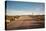 Joshua Tree Road-Bethany Young-Premier Image Canvas