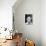 Joy House, (AKA Les Felins), Alain Delon, 1964-null-Stretched Canvas displayed on a wall