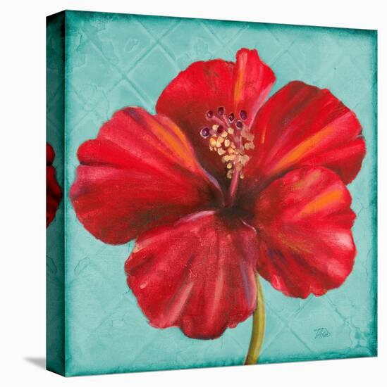 Joyful Hibiscus-Patricia Pinto-Stretched Canvas