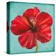 Joyful Hibiscus-Patricia Pinto-Stretched Canvas