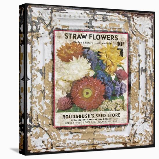 JP0543-Tin Tile-Straw Flowers-Jean Plout-Premier Image Canvas