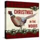 JP3676-Christmas In The Woods-Jean Plout-Premier Image Canvas