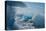 Jškulsarlon, Iceberg Remains on the Atlantic Beach-Catharina Lux-Premier Image Canvas