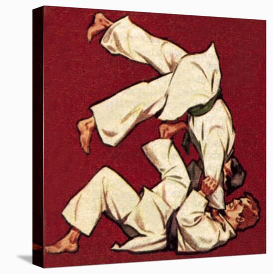 Judo-McConnell-Premier Image Canvas