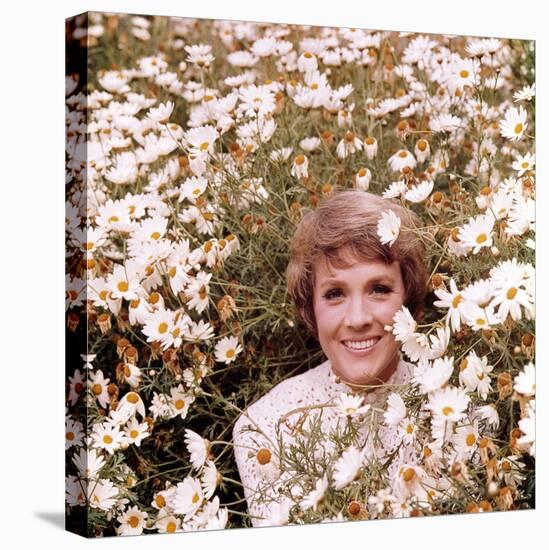 Julie Andrews Hour, Julie Andrews, 1972-1973-null-Stretched Canvas