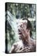 Julio Iglesias Having a Shower-Angelo Cozzi-Premier Image Canvas