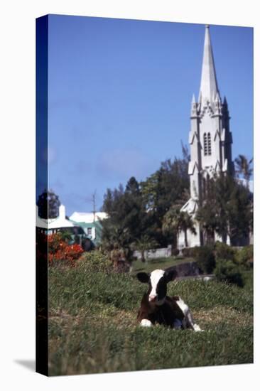 July 1973: Bermuda-Alfred Eisenstaedt-Premier Image Canvas