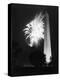 July 4, 1947: View of a Fireworks Display Behind the Washington Monument, Washington DC-William Sumits-Premier Image Canvas