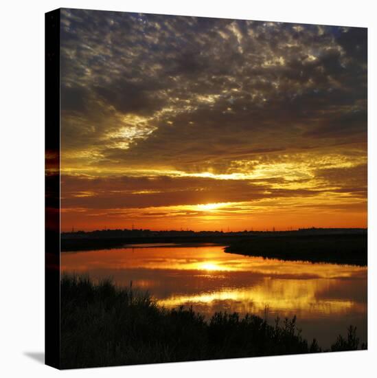 July Sunrise-Adrian Campfield-Premier Image Canvas