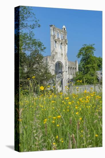 Jumieges Abbey, Jumieges, Normandy, France-Lisa S. Engelbrecht-Premier Image Canvas