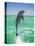 Jumping Bottlenose Dolphin-Stuart Westmorland-Premier Image Canvas