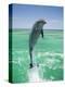 Jumping Bottlenose Dolphin-Stuart Westmorland-Premier Image Canvas