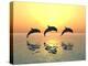 Jumping Dolphins-MIRO3D-Premier Image Canvas