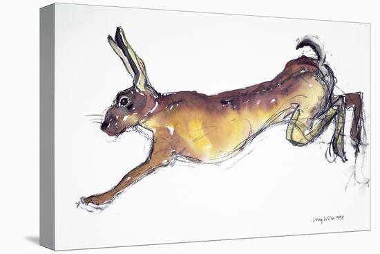 Jumping Hare-Lucy Willis-Premier Image Canvas