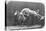 Jumping over Three Horses...Chestnut Horse Hornet-Eadweard Muybridge-Premier Image Canvas