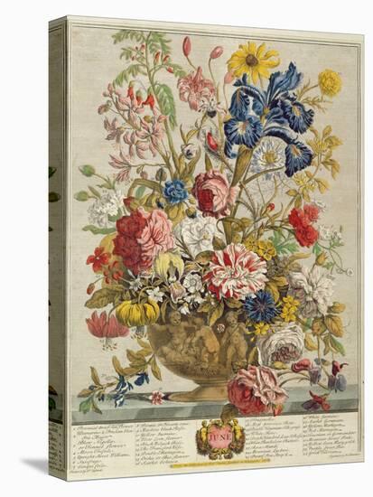 June, from 'Twelve Months of Flowers' by Robert Furber (C.1674-1756) Engraved by Henry Fletcher-Pieter Casteels-Premier Image Canvas