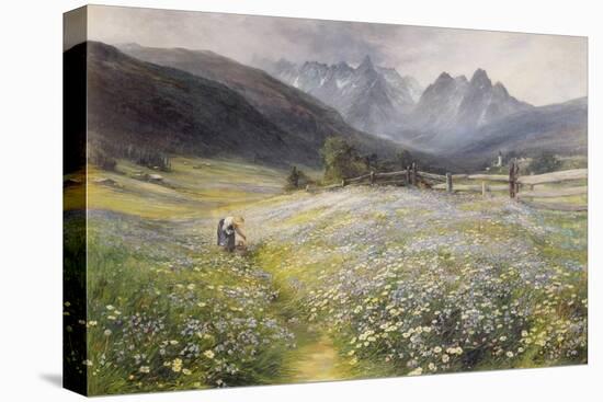 June in the Austrian Tyrol-John MacWhirter-Premier Image Canvas