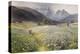 June in the Austrian Tyrol-John MacWhirter-Premier Image Canvas