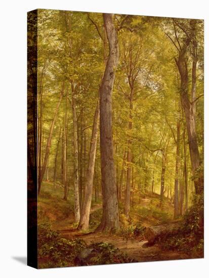 June Woods, Pennsylvania, 1864-William Trost Richards-Premier Image Canvas