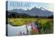 Juneau, Alaska - Mountain Wilderness and Fireweed-Lantern Press-Stretched Canvas