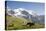 Jungfrau, Kleine Scheidegg, Bernese Oberland, Berne Canton, Switzerland, Europe-Angelo Cavalli-Premier Image Canvas