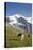 Jungfrau, Kleine Scheidegg, Bernese Oberland, Berne Canton, Switzerland, Europe-Angelo Cavalli-Premier Image Canvas