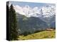 Jungfrau Massif From Murren, Jungfrau Region, Switzerland, Europe-Michael DeFreitas-Premier Image Canvas