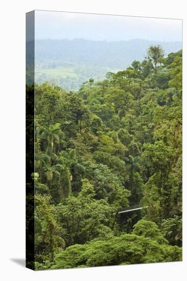 Jungle at Arenal Hanging Bridges Where Rainforest Canopy Is Accessible Via Walkways-Rob Francis-Premier Image Canvas