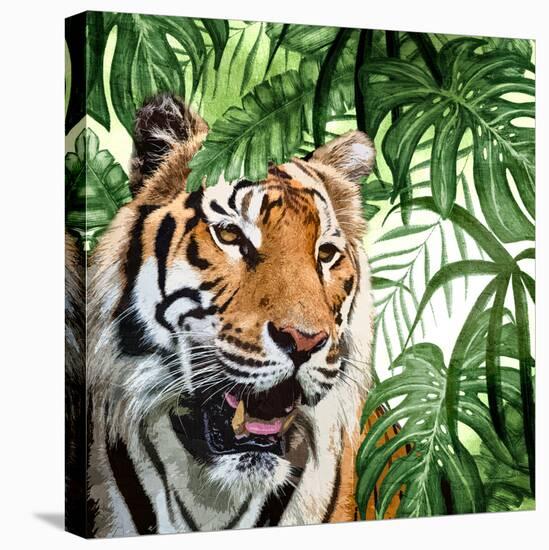 Jungle Eyes 1-Kimberly Allen-Stretched Canvas