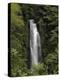 Jungle Falls-J.D. Mcfarlan-Premier Image Canvas