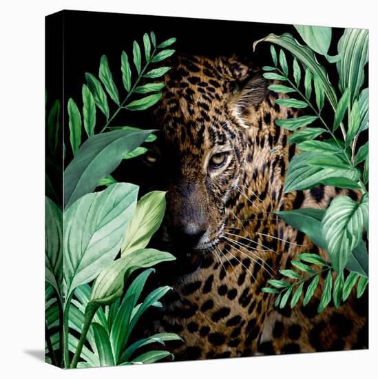 Jungle Leopard-Kimberly Allen-Stretched Canvas